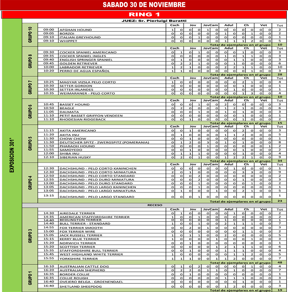 2019 Expo Nov FCA HORARIOS OFICIO 1