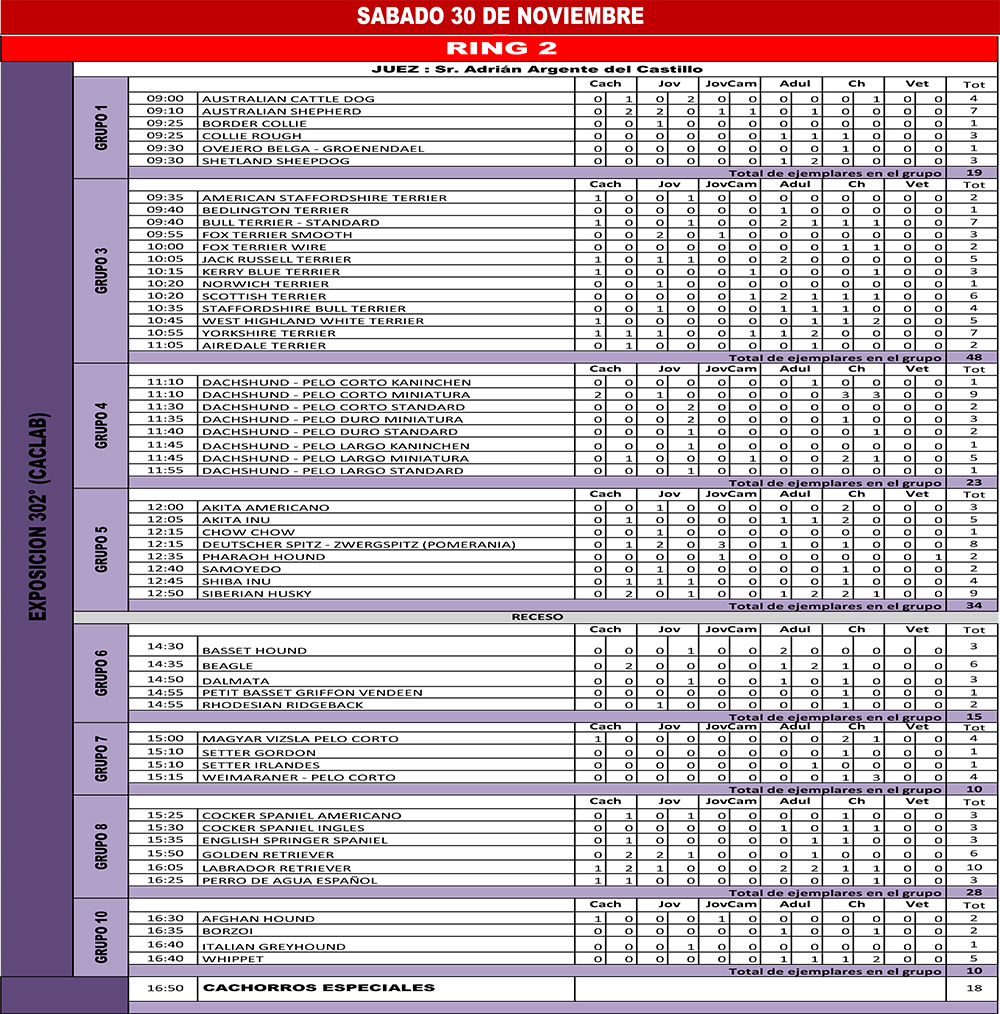 2019 Expo Nov FCA HORARIOS OFICIO 2