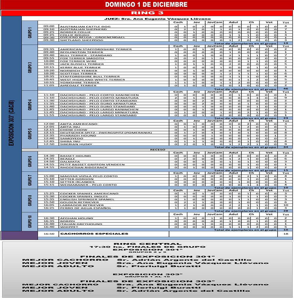 2019 Expo Nov FCA HORARIOS OFICIO 5