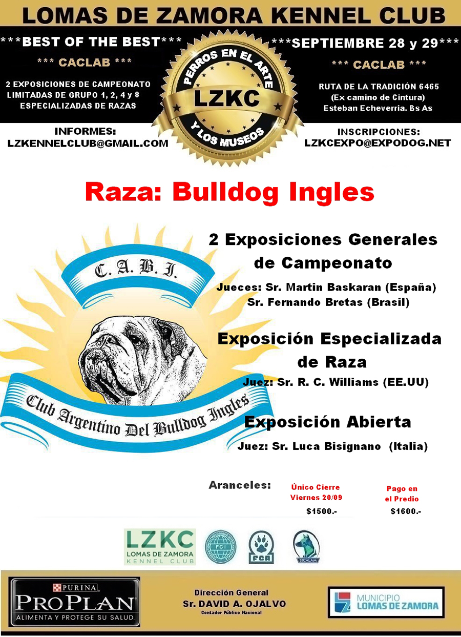 bulldog ingles